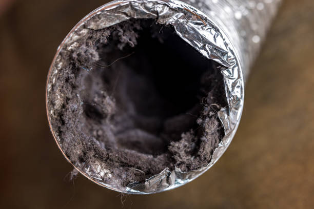 Best Professional Duct Cleaning Services  in Ridge, NY